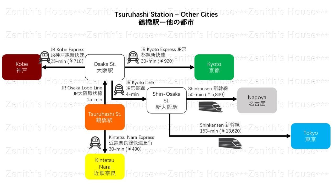大阪市ゼニスズ ハウスアパートメント エクステリア 写真